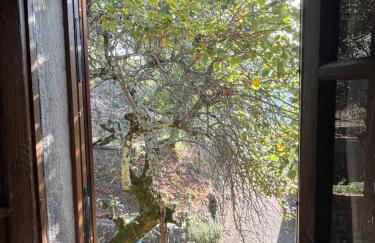 Antica casa in sasso - Casa Vacanze - Foto 19