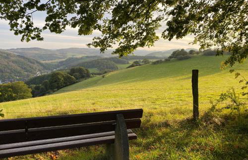 Waldläufer Brilon - Foto 60