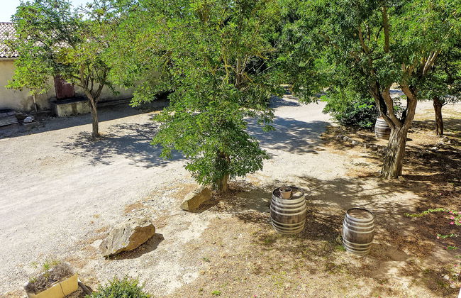 Les Vendanges - Foto 24