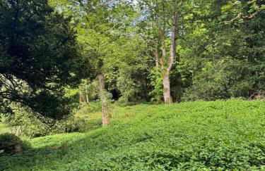 East Lodge - Chillingham Castle - Foto 49