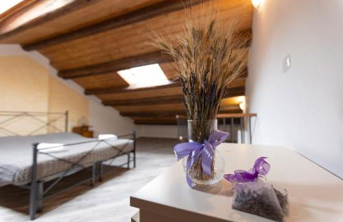 Agriturismo La Valle della Lavanda - Podere Mezzastrada - Foto 18