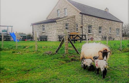 GlenHaven Holiday Accommodation - Foto 42