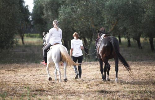 Masseria Prosperi - Photo 114