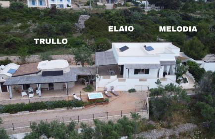 CASA ELAIO - immersa negli ulivi con vista sul mare Ionio - Foto 64