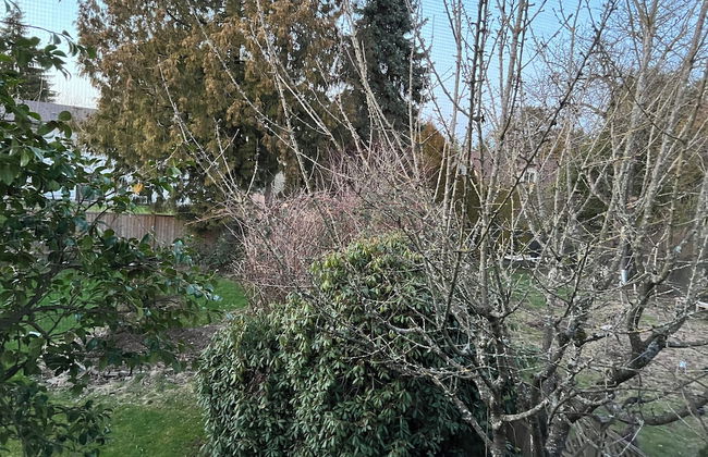 Quite House near Vancouver Airport - Photo 44