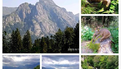 Casa della musica - Foto 5