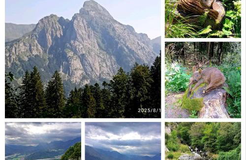 Casa della musica - Foto 5