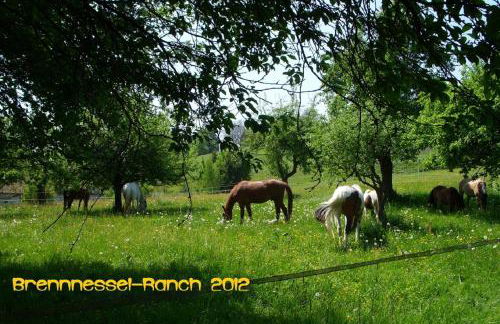 Landhaus Surner - Foto 13