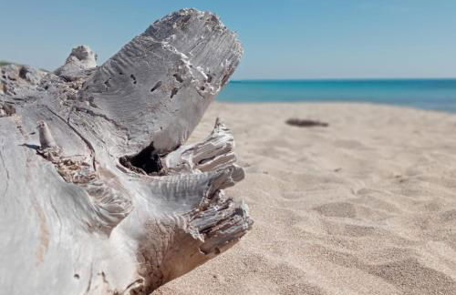 Antica Dimora - Foto 69