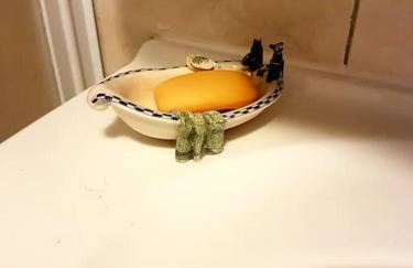 Zelena oaza - Foto 8