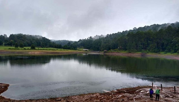 Tour en bicicleta por la Reserva Natural Monte Alto - Foto 2