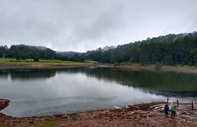 Tour en bicicleta por la Reserva Natural Monte Alto - Foto 2