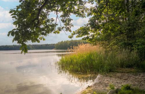 Holiday Home Kranich by Interhome - Foto 35