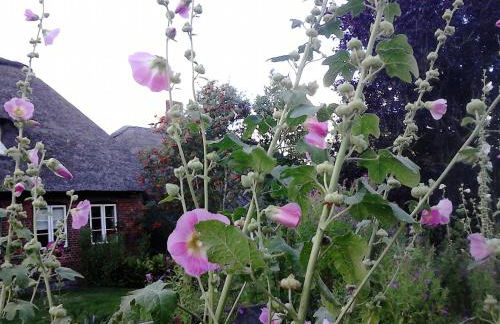 Haus Halligblick - Foto 70