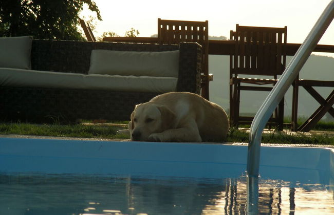 Villa Podere Quartarola - Foto 60