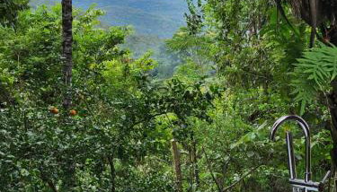 Refúgio no meio da natureza - Chalé Pé de Serra - Foto 4