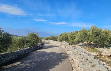 Vila Propuh Primošten - Foto 35