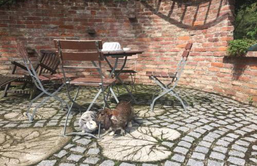 Gästehof Huber - Foto 20