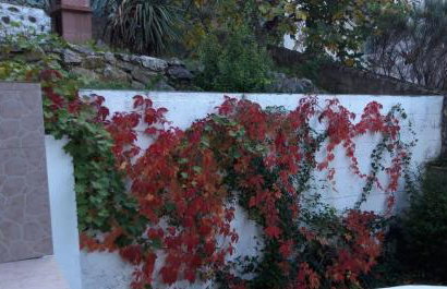 Apartment Rupena - Foto 42