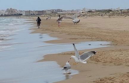 El Mirador de la Laguna - Foto 52