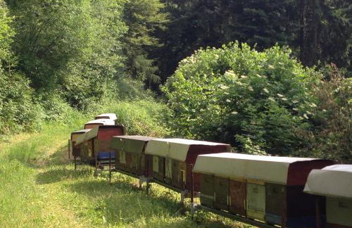 Agriturismo Maso Grener - Foto 28