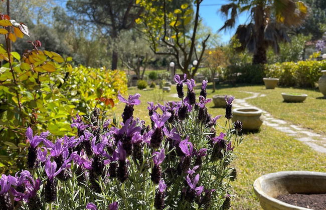 Stylish Maisonette With 3 Bedrooms in Vourvourou, Greece - Foto 58