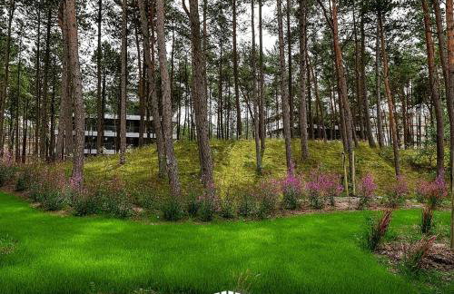 Seaside Shellter Rogowo - Foto 12