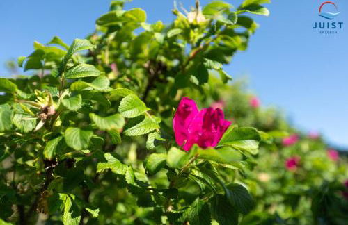 Haus Sturmfried 281 - Nord - Foto 11