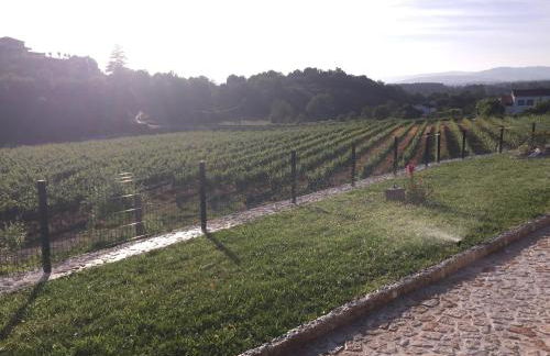 Quinta de Real - Foto 65