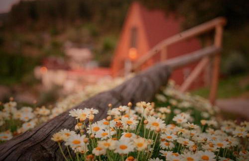 Cabana Oliveira - Foto 14