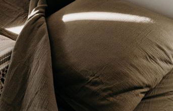 Tesoru di Machja - Appartement dans un gîte proche de l'océan - Foto 12