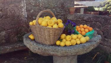 Casa do Balcão - Foto 4, Garden