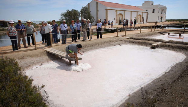 Entrada a MónNatura Delta del Ebro - Foto 4, Salinas del Delta del Ebro