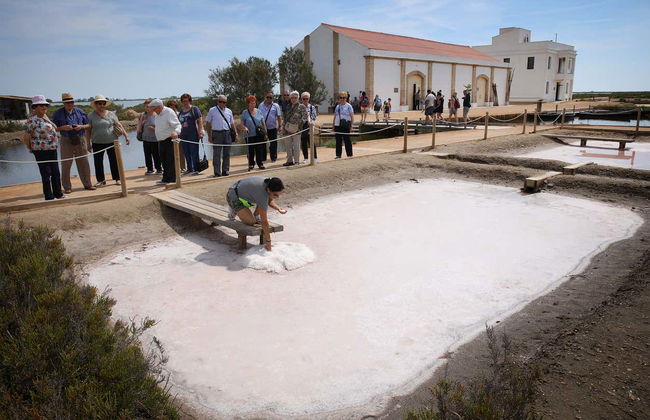 Entrada a MónNatura Delta del Ebro - Foto 4