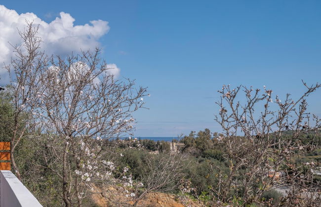 Villa Lakioto - Foto 19