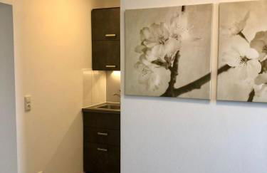 Erdgeschoss-Appartement mit Seeterasse - Foto 17