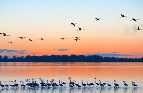 HC Torreira Beach - Foto 36