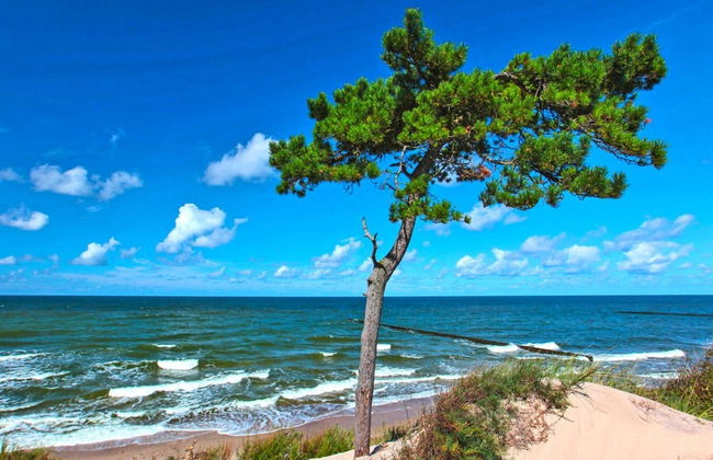 Cottage in Wicie Near Baltic Beach - Foto 30