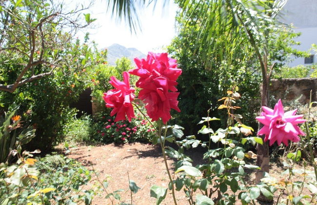 I tre Golfi Itaca - Foto 34