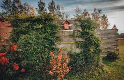 Domki w górach - Foto 18