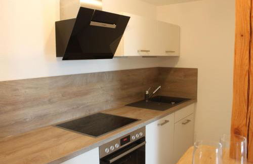 Landgasthof Lamm Ferienwohnungen - Foto 33