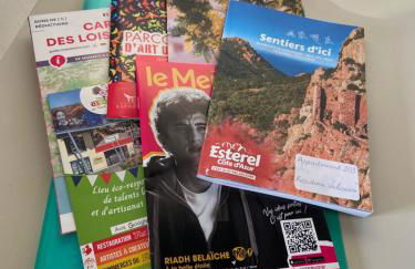 Domaine Valescure vue Piscine ou Pinede - Wifi - Foto 42