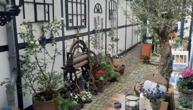 Haus Alexandrine - Foto 2