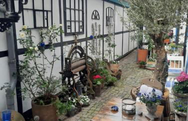 Haus Alexandrine - Foto 2