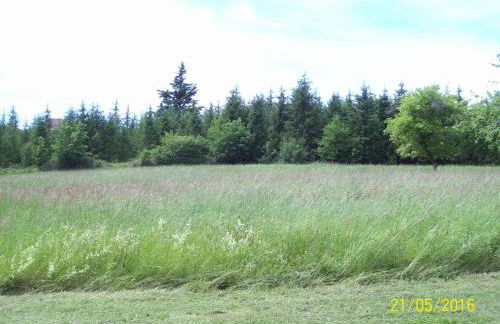 Maison de campagne Dordogne près Monpazier - Foto 29