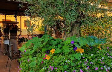 "La Terrazza di Castiglione" APPARTAMENTI VACANZA - Foto 2