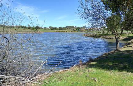 Monte Da Serralheira Agro Turismo - Foto 45