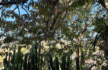 Casa de Luz - Lar na Serra - Duplo ou Triplo - Foto 13