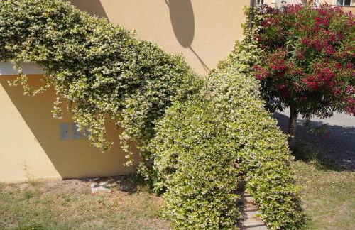 Anna's HOUSE Solarium Terrace - Foto 39