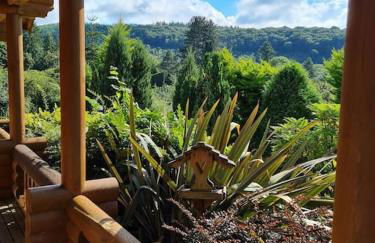 Countryside 3 Bedroom Log Cabin With Private Hot Tub - Ash - Foto 5